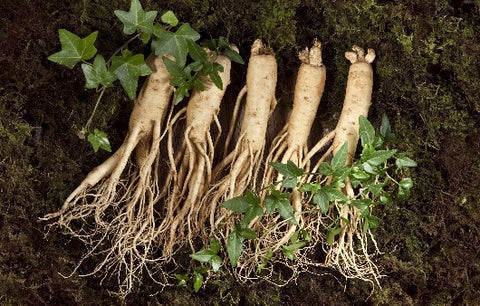 what is a good ginseng?  How can we distinguish it?