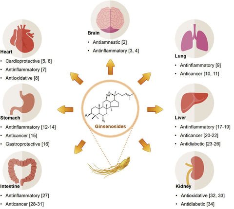 What is the efficacy of ginsenoside? Is it scientifically/medically verified?